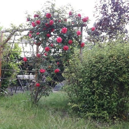Gartenblick Daire Graal-Mueritz Dış mekan fotoğraf