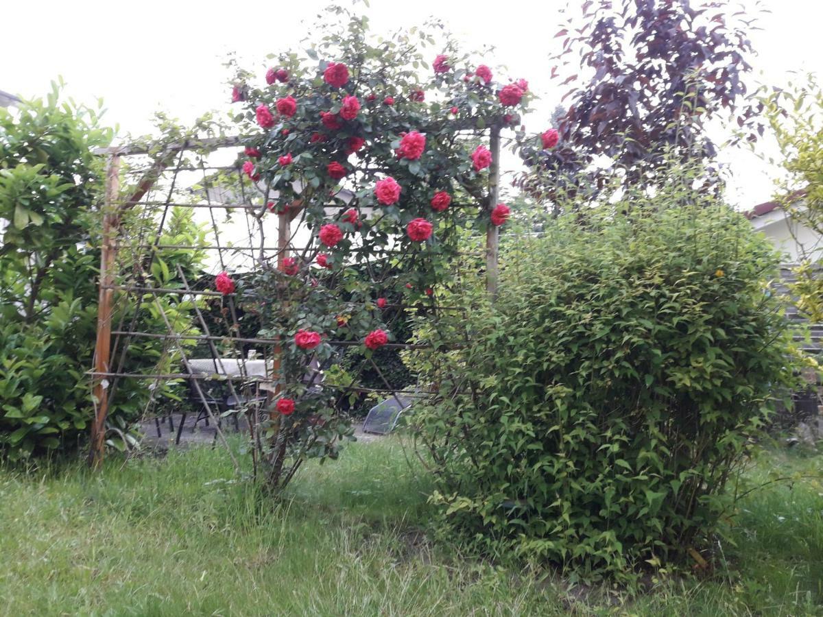 Gartenblick Daire Graal-Mueritz Dış mekan fotoğraf